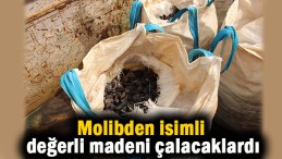 Maden hırsızları yakalandı