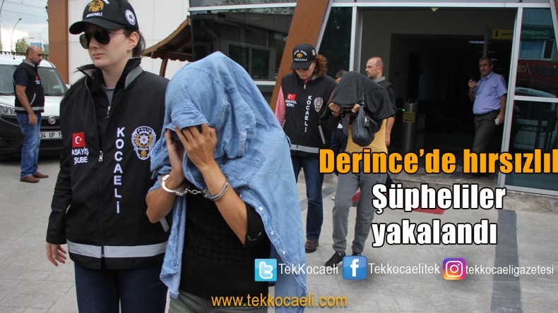 Birden fazla evde hırsızlık yaptılar