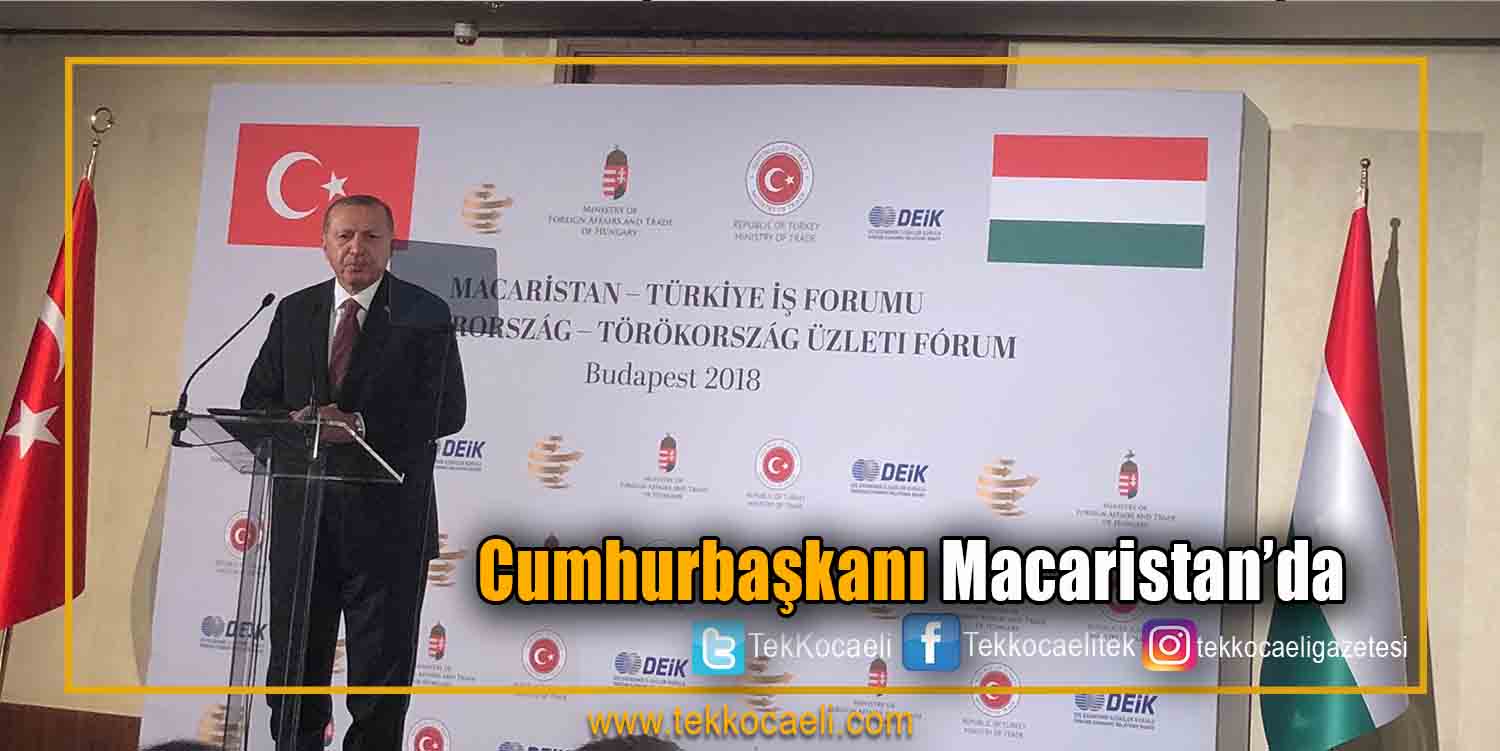Cumhurbaşkanı Recep Tayyip Erdoğan, Macaristan’da