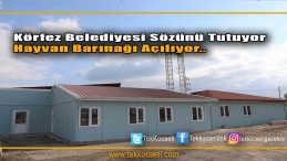 Körfez’e Hayvan Bakım Merkezi