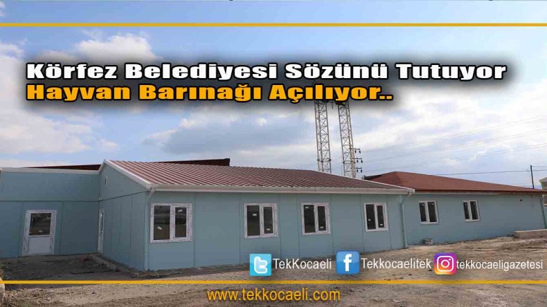 Körfez’e Hayvan Bakım Merkezi