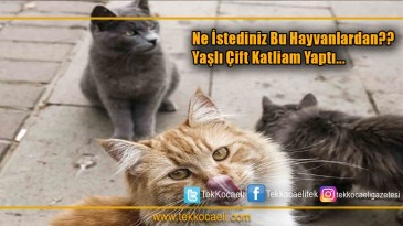 Gölcük İlçesi Değirmendere Yalı Mahallesinde Üzen Olay