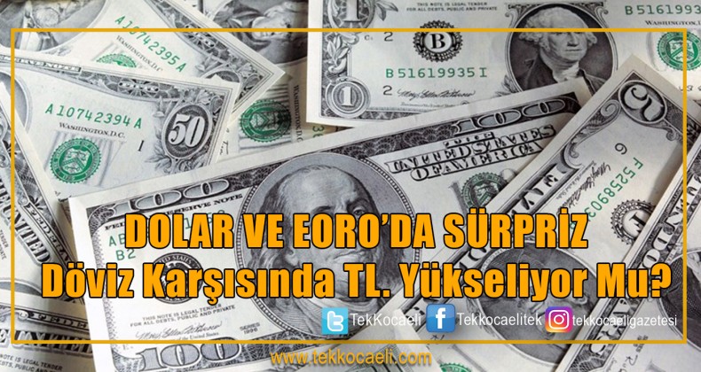 Dolar ve EURO’da Sürpriz
