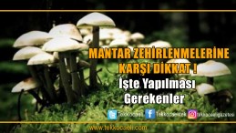 Mantar Zehirlenmelerine Karşı Dikkat!