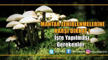 Mantar Zehirlenmelerine Karşı Dikkat!