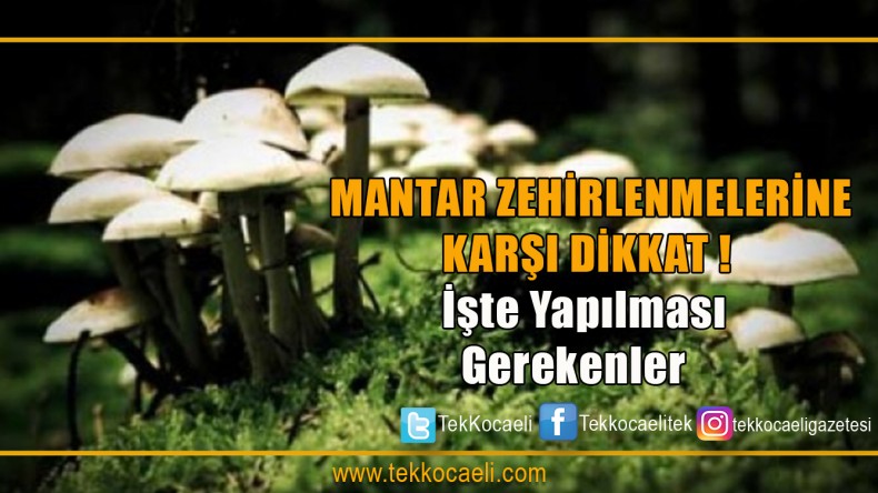 Mantar Zehirlenmelerine Karşı Dikkat!