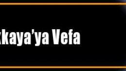 Dr.Alaattin Büyükkaya kimdir?