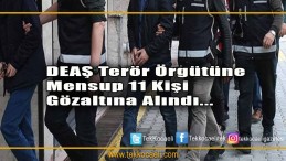 Kocaeli’nde Terör Operasyonu