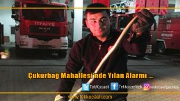 Otomobilin tekerinden yılan çıktı!