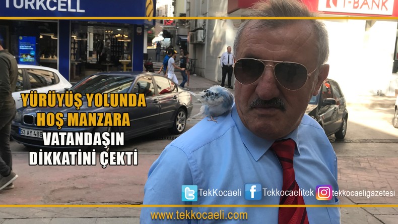 Yürüyüş Yolu Manzaraları