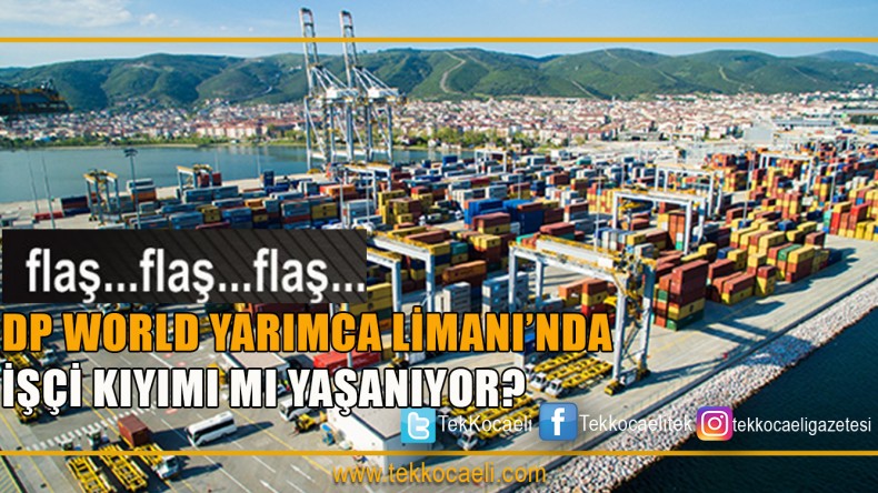 DP WORLD Yarımca Limanı’nda Neler Oluyor?