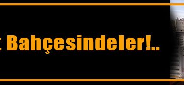 Sahipsiz hayvanlar hayvanat bahçesine götürüldü