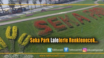 Sekapark, 1 milyon lale ile renklenecek