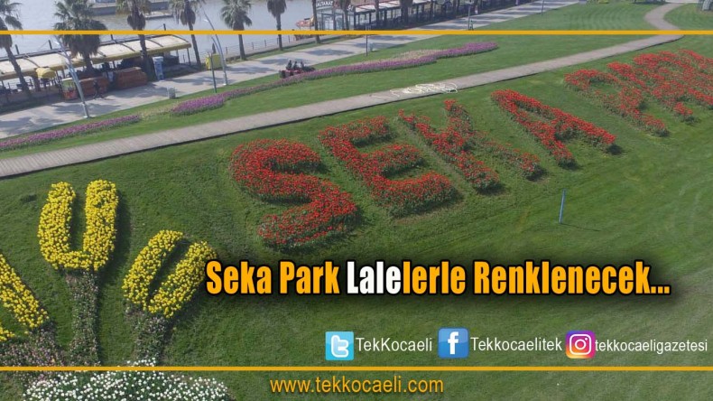 Sekapark, 1 milyon lale ile renklenecek