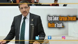 Kartepe Zirvesi, Mecliste