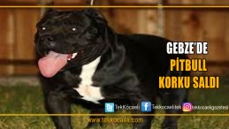 Okulda Korku Dolu Anlar