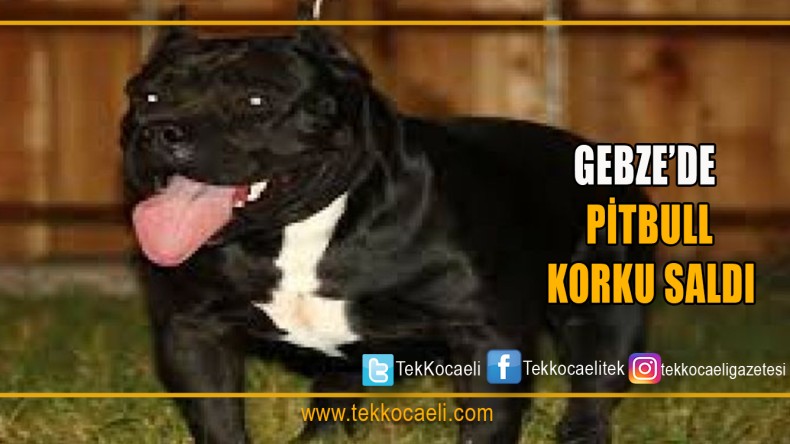 Okulda Korku Dolu Anlar