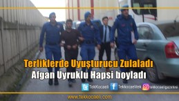Afgan Uyruklu Şahıs Tutuklandı