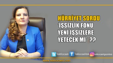 ‘İşsizlik Fonu Değil, Teşvik Fonu’