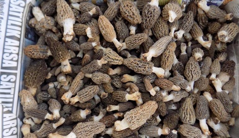 Fiyatları Et Fiyatlarını Solladı