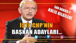 İşte Chp’nin Kulislerde Adı Geçen Adayları
