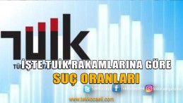 Tuik Rakamları Ve Cezaevine Giren Sayısı