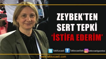 Zeybek’ten Veral İnşaat Tepkisi