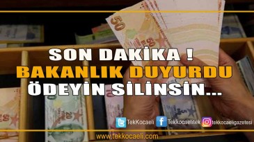 Yıl sonuna kadar ödenirse cezalar silinecek