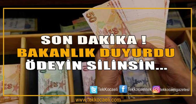 Yıl sonuna kadar ödenirse cezalar silinecek