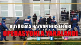 Hayvan Hırsızları Yakalandı