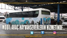 Büyükşehirden Sokak Hayvanlarına Hizmet Aracı