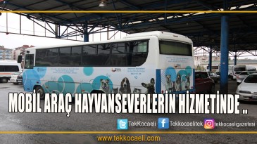 Büyükşehirden Sokak Hayvanlarına Hizmet Aracı