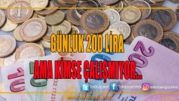 Çalışacak İşçi Bulamıyorlar