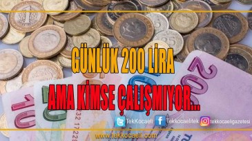 Çalışacak İşçi Bulamıyorlar