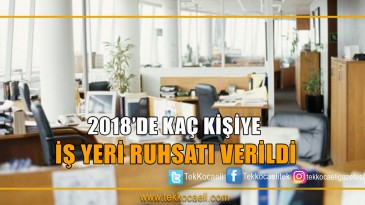 2018’de Kaç İş Yeri Ruhsatı Verildi