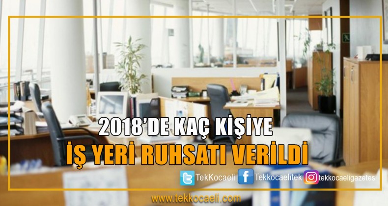 2018’de Kaç İş Yeri Ruhsatı Verildi
