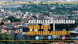 Kocaeli’de Doğanların Yüzde Kaçı Kocaeli’de Yaşıyor?