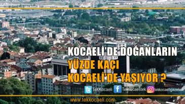 Kocaeli’de Doğanların Yüzde Kaçı Kocaeli’de Yaşıyor?