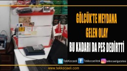 Gittiler Misafirlikte Hırsızlık Yaptılar