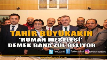 ‘Roman meselesi’ demek bana zül geliyor