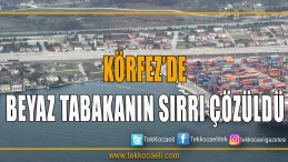 Yine Bir Gemi Yine Deniz Kirliliği