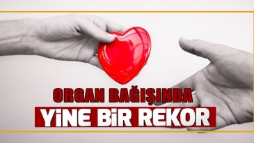 Organ Bağışında REKOR !