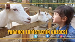 6 Ayda 2 Milyon Kişi Ziyaret Etti