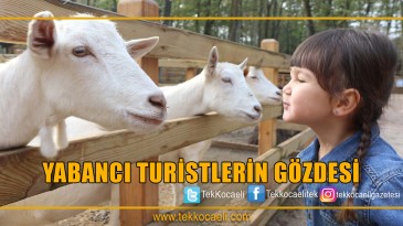 6 Ayda 2 Milyon Kişi Ziyaret Etti