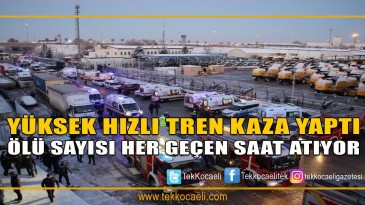Yüksek Hızlı Tren Kaza Yaptı