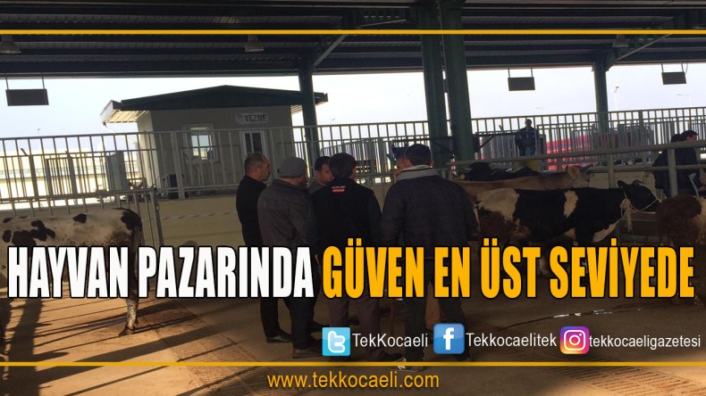 Modern Hayvan Pazarı’nda Güvenlik Had Safhada