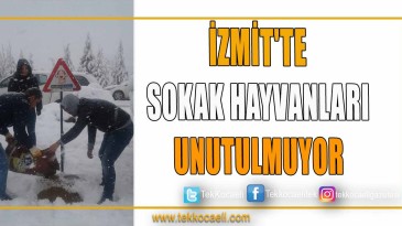 İZMİT’TE SOKAK HAYVANLARI UNUTULMUYOR