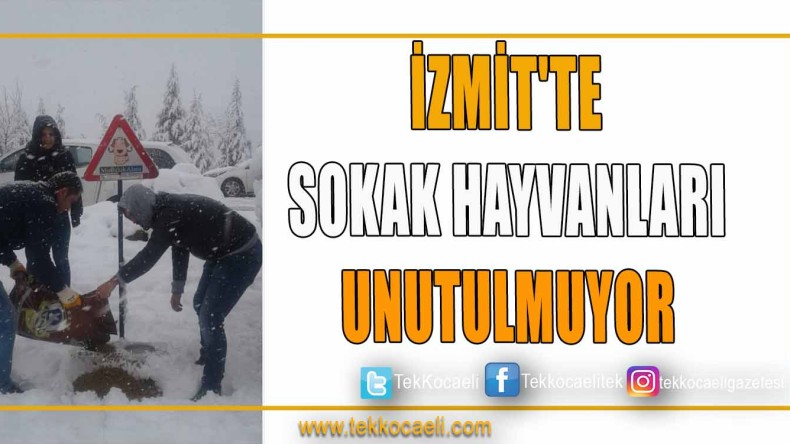 İZMİT’TE SOKAK HAYVANLARI UNUTULMUYOR