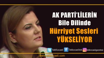İzmit’te Hürriyet Sesleri Yükseliyor