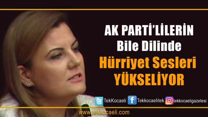 İzmit’te Hürriyet Sesleri Yükseliyor